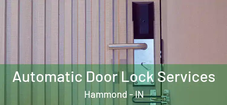 Automatic Door Lock Services Hammond - IN