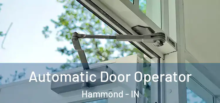 Automatic Door Operator Hammond - IN