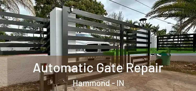 Automatic Gate Repair Hammond - IN