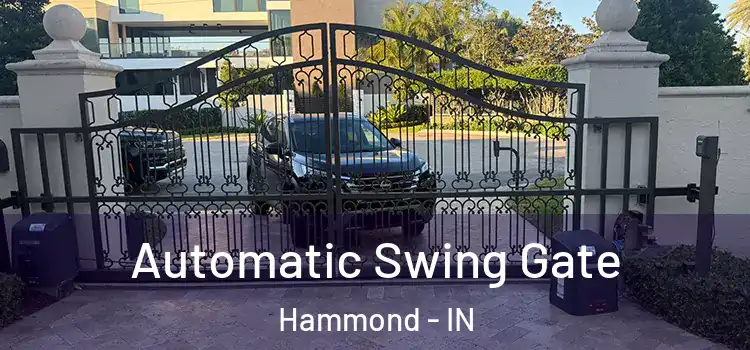 Automatic Swing Gate Hammond - IN