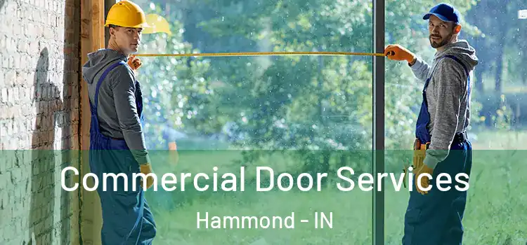  Commercial Door Services Hammond - IN