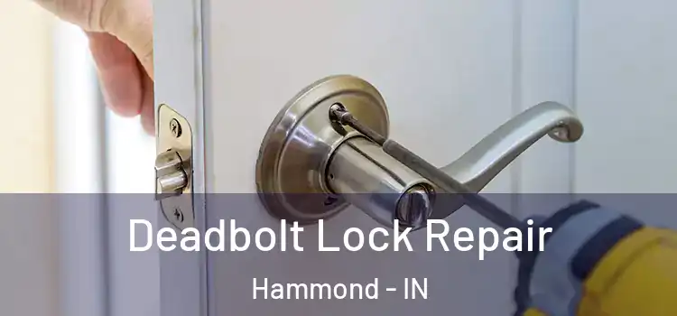 Deadbolt Lock Repair Hammond - IN