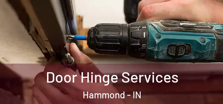Door Hinge Services Hammond - IN