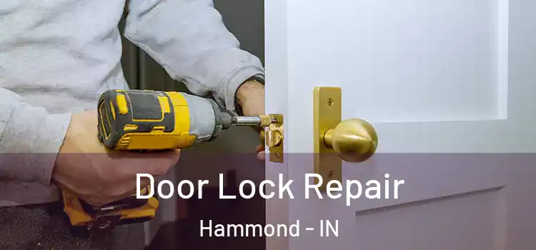  Door Lock Repair Hammond - IN
