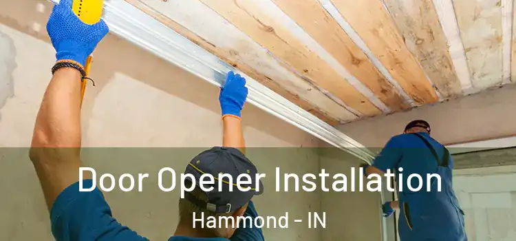 Door Opener Installation Hammond - IN