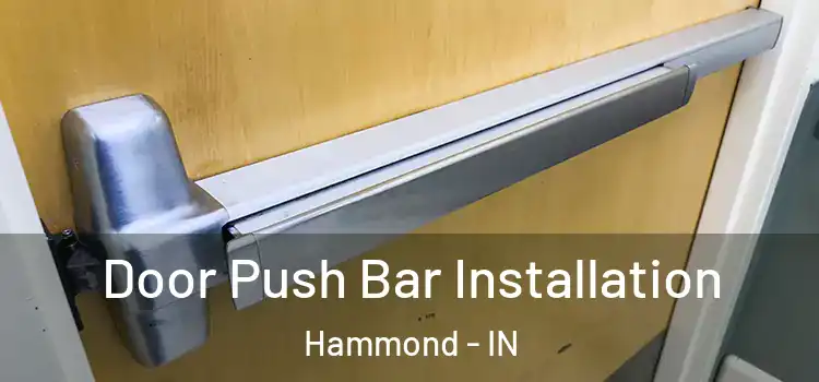 Door Push Bar Installation Hammond - IN