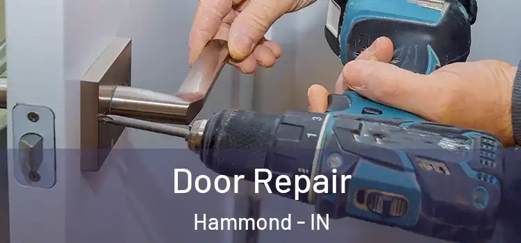  Door Repair Hammond - IN