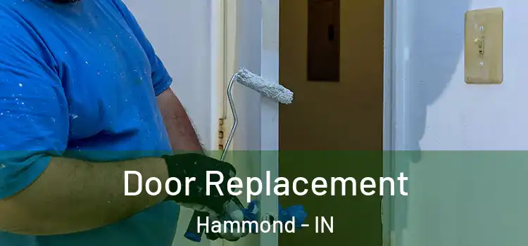 Door Replacement Hammond - IN