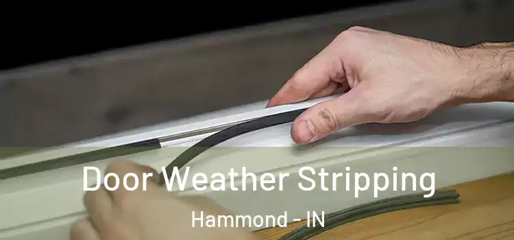  Door Weather Stripping Hammond - IN