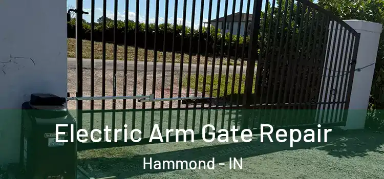 Electric Arm Gate Repair Hammond - IN