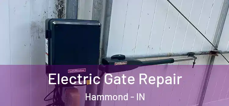  Electric Gate Repair Hammond - IN