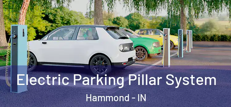  Electric Parking Pillar System Hammond - IN