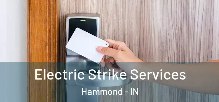 Electric Strike Services Hammond - IN