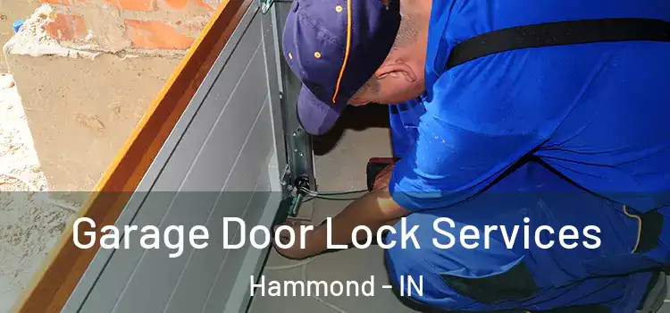 Garage Door Lock Services Hammond - IN