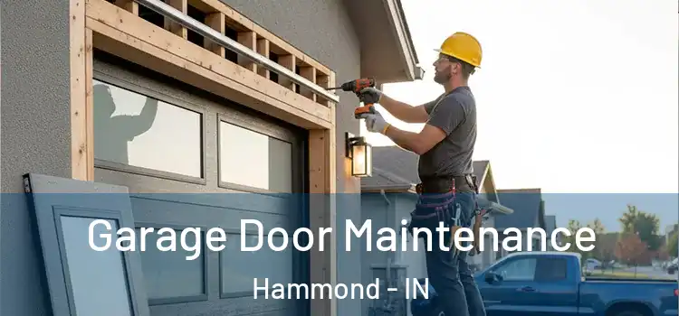  Garage Door Maintenance Hammond - IN