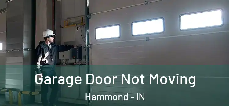  Garage Door Not Moving Hammond - IN