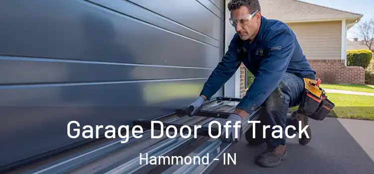  Garage Door Off Track Hammond - IN