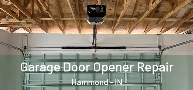 Garage Door Opener Repair Hammond - IN