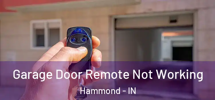  Garage Door Remote Not Working Hammond - IN