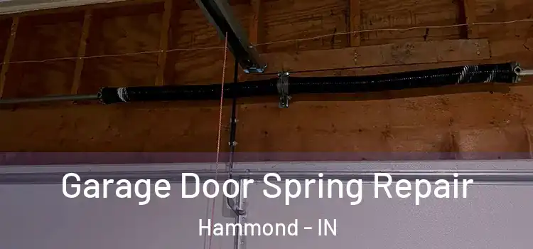  Garage Door Spring Repair Hammond - IN