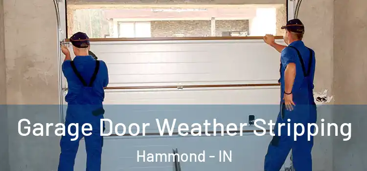  Garage Door Weather Stripping Hammond - IN