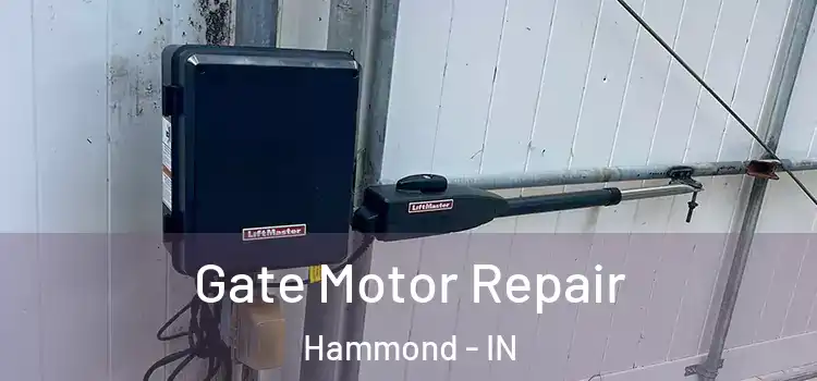 Gate Motor Repair Hammond - IN
