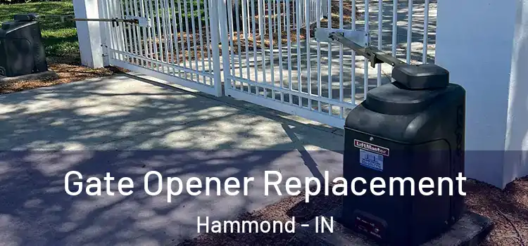 Gate Opener Replacement Hammond - IN