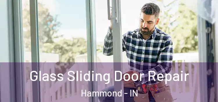  Glass Sliding Door Repair Hammond - IN
