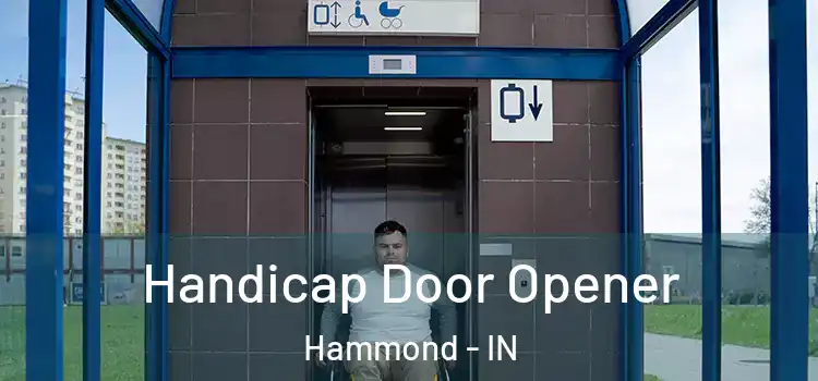 Handicap Door Opener Hammond - IN