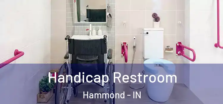 Handicap Restroom Hammond - IN