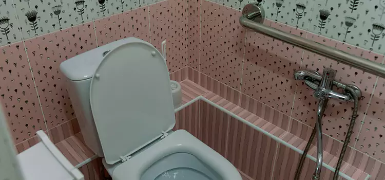 Meeting Diverse Needs With Accessible Restroom Solutions in Hammond, IN