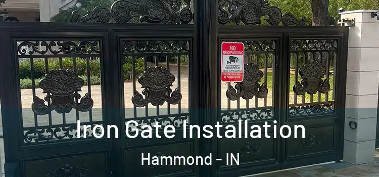  Iron Gate Installation Hammond - IN