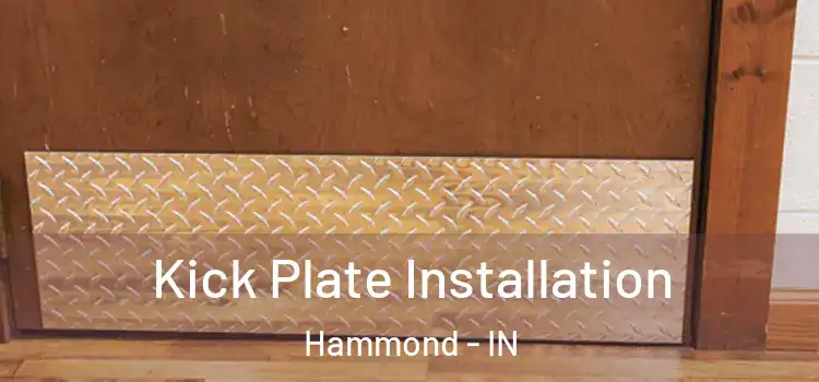  Kick Plate Installation Hammond - IN