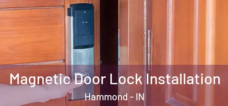  Magnetic Door Lock Installation Hammond - IN