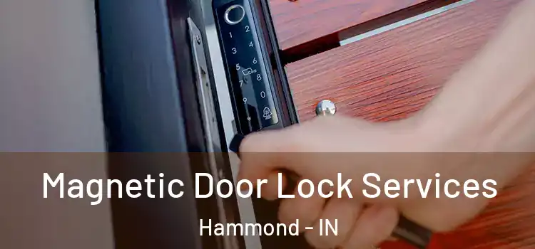 Magnetic Door Lock Services Hammond - IN