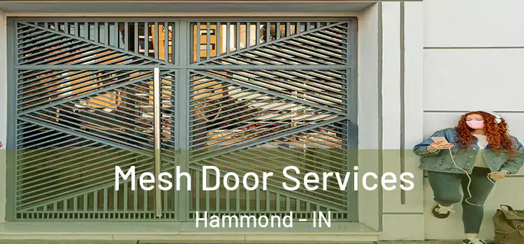 Mesh Door Services Hammond - IN