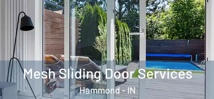 Mesh Sliding Door Services Hammond - IN