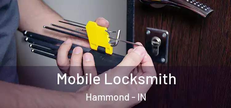  Mobile Locksmith Hammond - IN