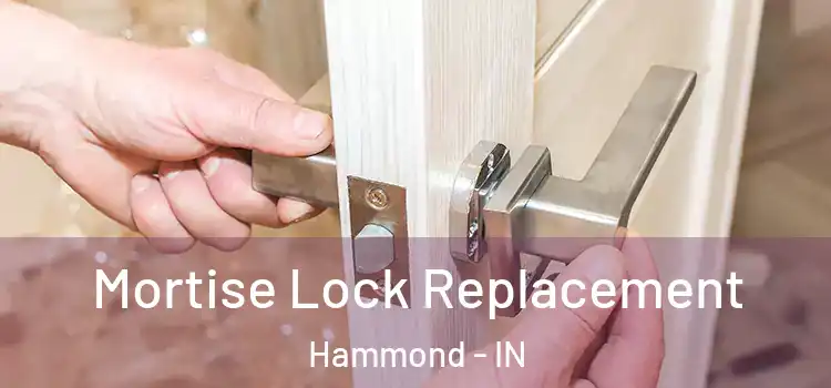 Mortise Lock Replacement Hammond - IN