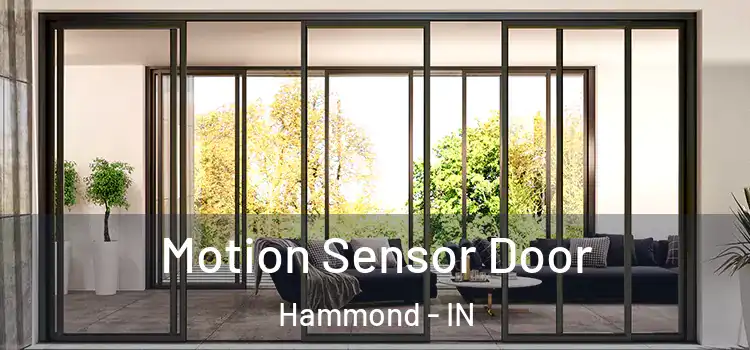 Motion Sensor Door Hammond - IN
