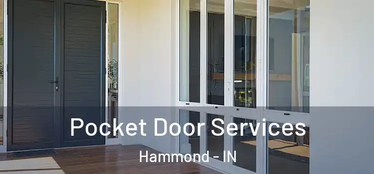  Pocket Door Services Hammond - IN