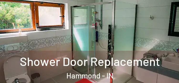 Shower Door Replacement Hammond - IN