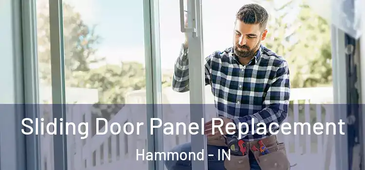  Sliding Door Panel Replacement Hammond - IN