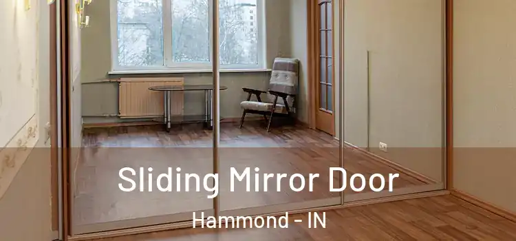  Sliding Mirror Door Hammond - IN