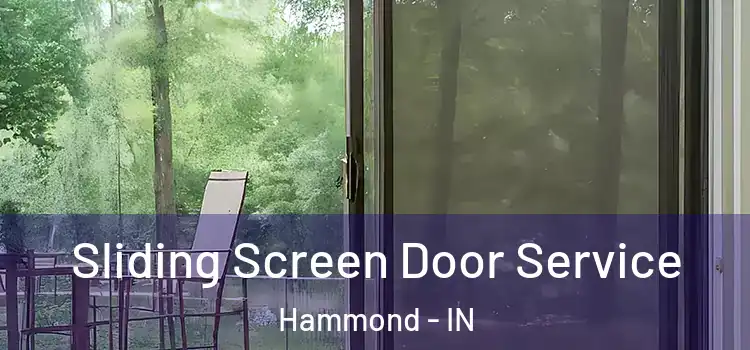  Sliding Screen Door Service Hammond - IN