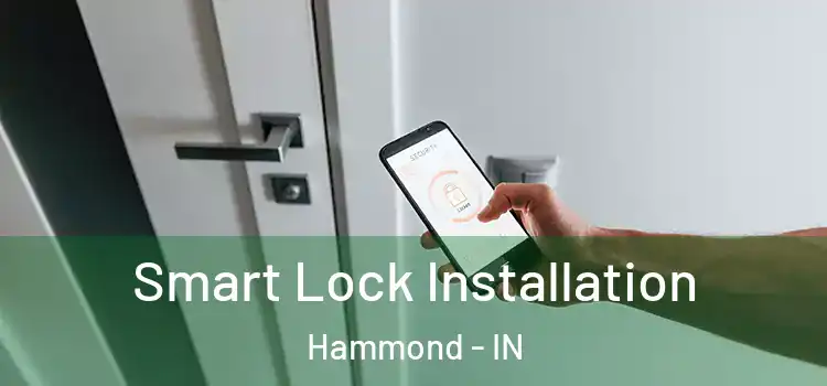 Smart Lock Installation Hammond - IN