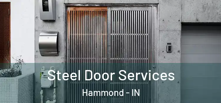 Steel Door Services Hammond - IN